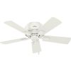 Hunter Fan Crestfield Ceiling Fan